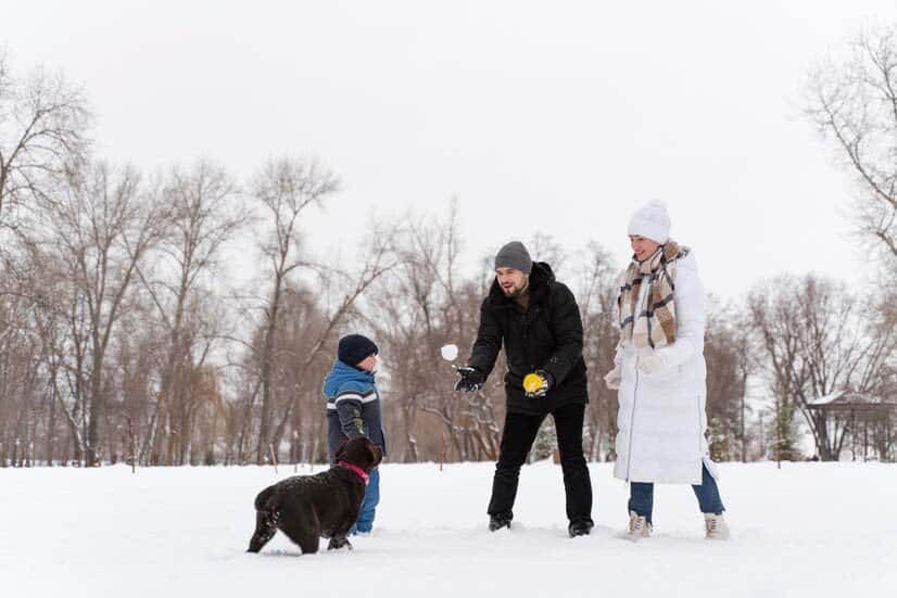 chien jouant en hiver avec un enfant dans la neige en famille.