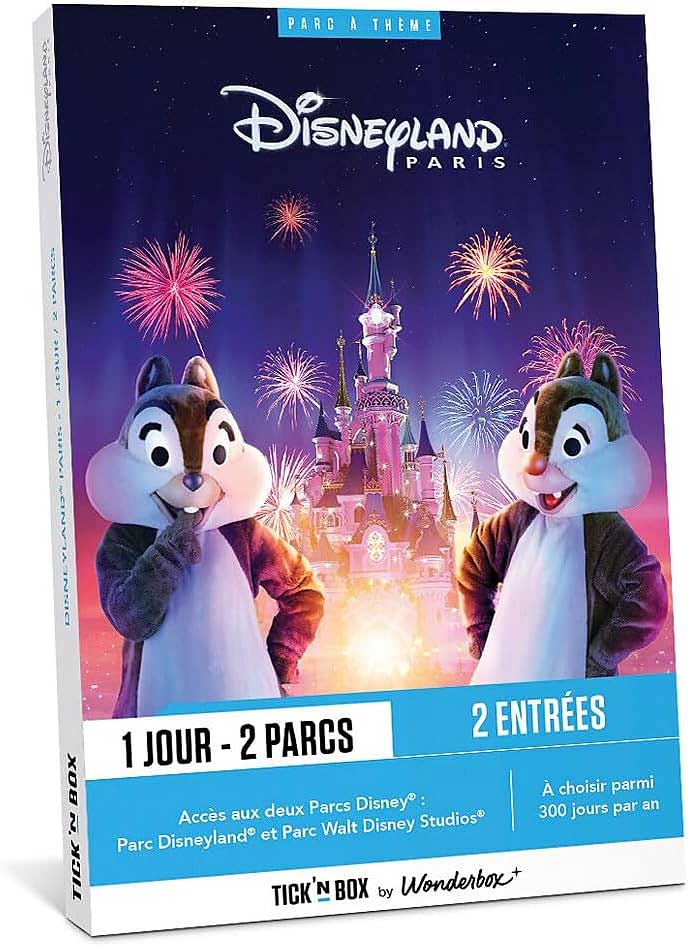 Coffret cadeau entrées Parc Disneyland Paris, une idée de cadeau pour ado fille