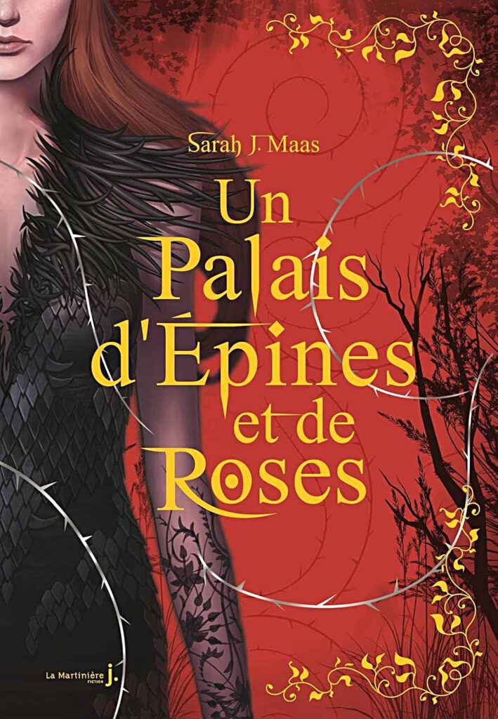 Un Palais d'épines et de roses T1, un cadeau anniversaire ado