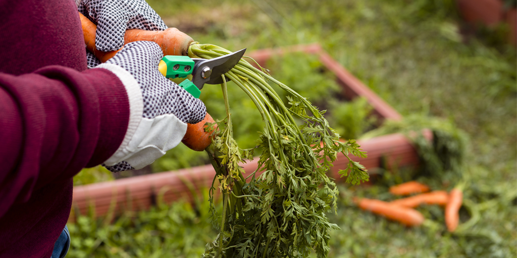 Idée cadeau jardin, notre sélection pour les amoureux du plein air